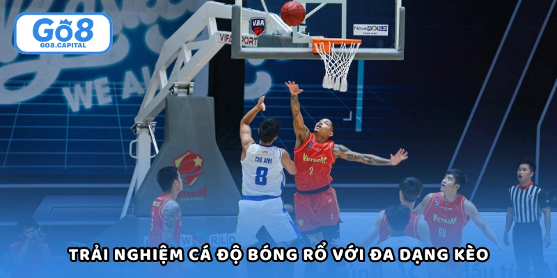 Trải nghiệm cá độ bóng rổ với đa dạng kèo