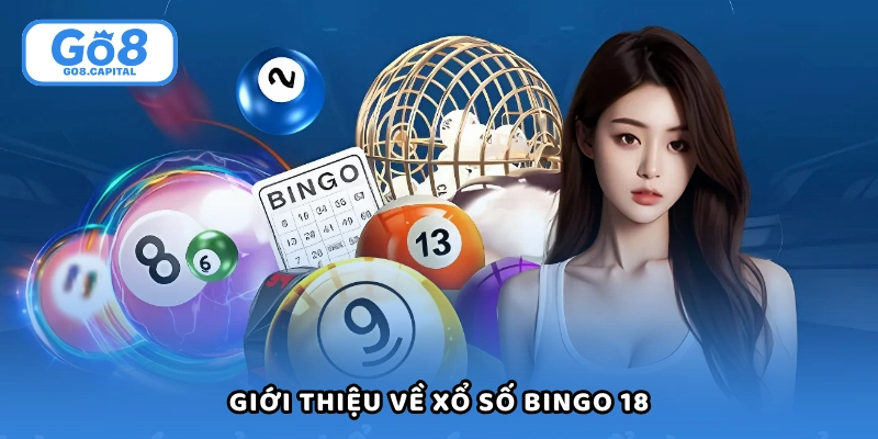 Giới thiệu ngắn về xổ số bingo 18