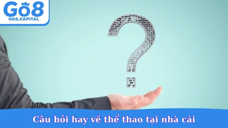 Câu hỏi hay về thể thao tại nhà cái